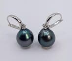 Oorbellen - 14 karaat Witgoud - 10×11 mm Tahitiaanse parels