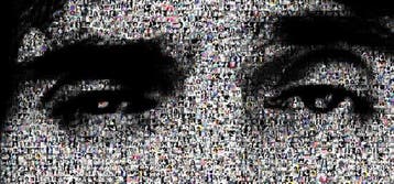 David Law - Crypto Frank Zappa X