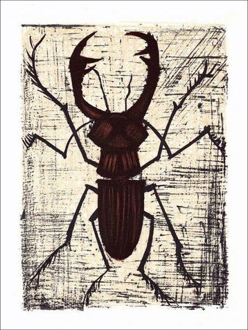Bernard Buffet (1928-1999) - Série sur les Insectes (9)