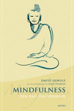 Mindfulness 9789056702472 David Dewulf, Verzenden, David Dewulf