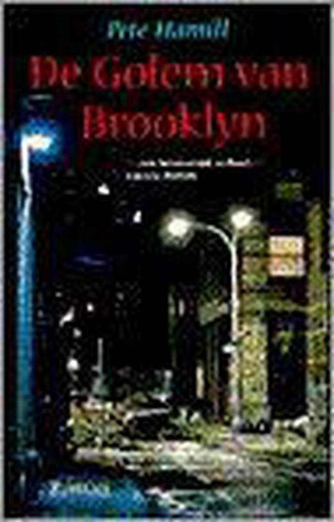 De Golem van Brooklyn 9789055014910 P. Hamill, Boeken, Romans, Gelezen, Verzenden