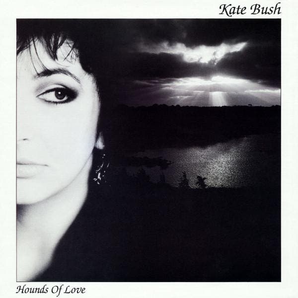Kate Bush - Hounds Of Love (LP 1986), CD & DVD, Vinyles | Rock, Envoi