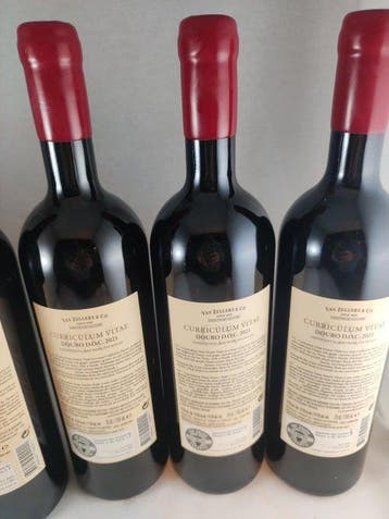 2021 Van Zellers & Co. , CV Curriculum Vitae - Douro - 6, Nieuw