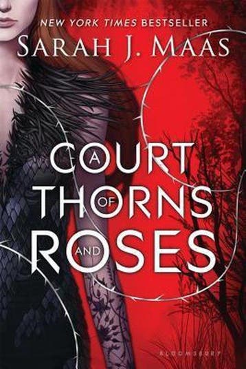 A Court of Thorns and Roses 9781619635180 Sarah J. Maas, Boeken, Verzenden, Gelezen, Sarah J. Maas