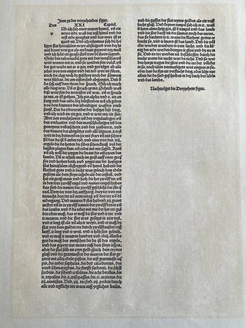 Albrecht Dürer (1471-1528), after - Woodcut - Apocalypsis