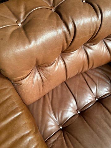 de Sede - Fauteuil (2) - DS-40 - Buffelleer