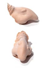 PXP Latex Heksenneus, Verzenden, Nieuw