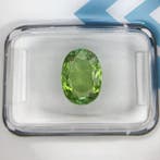 Zonder minimumprijs - 1 pcs Groen, Geel Paraiba toermalijn -, Nieuw