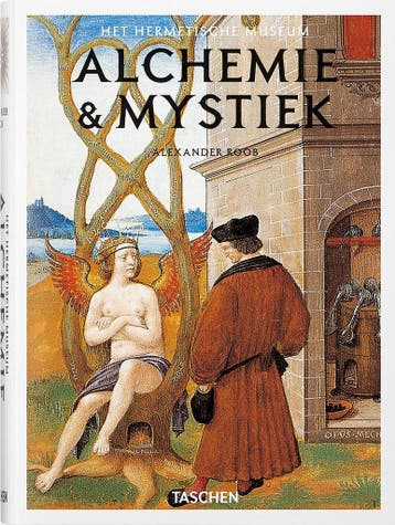 Alchemie & mystiek 9783836549387 Alexander Roob, Verzenden, Zo goed als nieuw, Alexander Roob