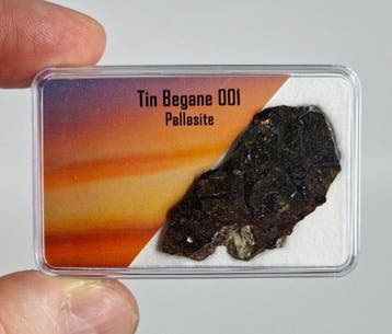 Tin Begane 001 Pallasietmeteoriet - 3.86 g