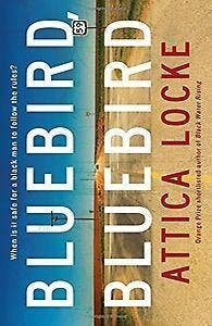 Bluebird, bluebird / Darren Matthews / 1 9781781257678, Boeken, Taal | Engels, Gelezen, Verzenden