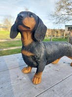 Beeld, tuin beeld van een teckel - 25 cm - polyresin