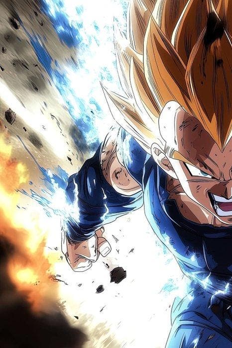 Canvas Fit - Alberto Ricardo - Vegeta, El orgullo del, Cd's en Dvd's, Dvd's | Tekenfilms en Animatie