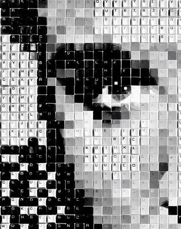 David Law - Digital Keys - Elvis