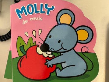 Molly de muis - boekje 8717796056426, Verzenden, Gelezen