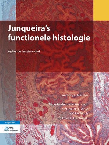 Junqueiras functionele histologie 9789036820240, Verzenden, Gelezen, Anthony L. Mescher