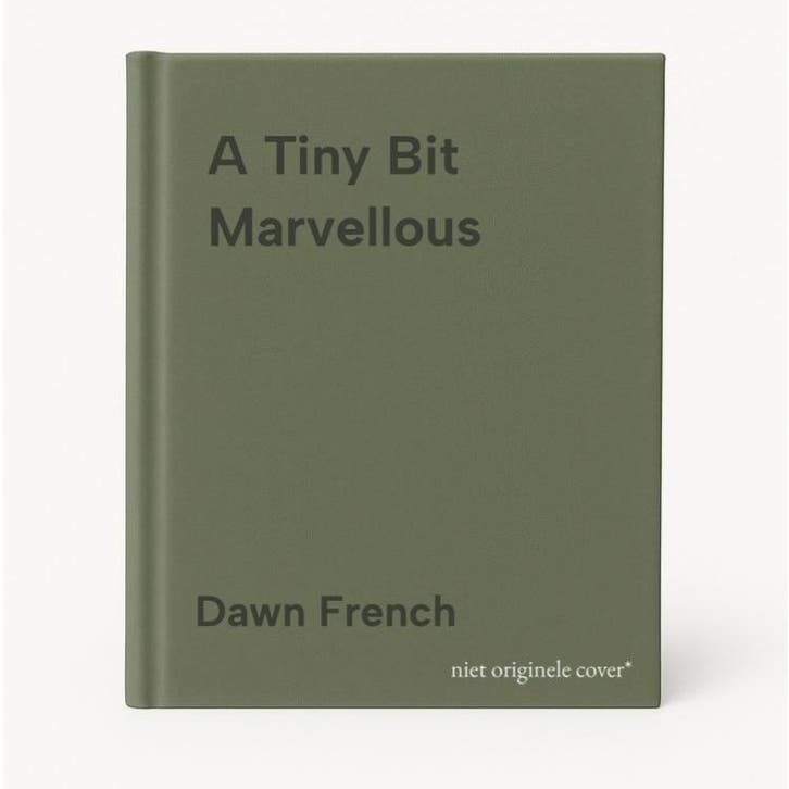 A Tiny Bit Marvellous 9780141046341 Dawn French, Livres, Langue | Anglais, Envoi