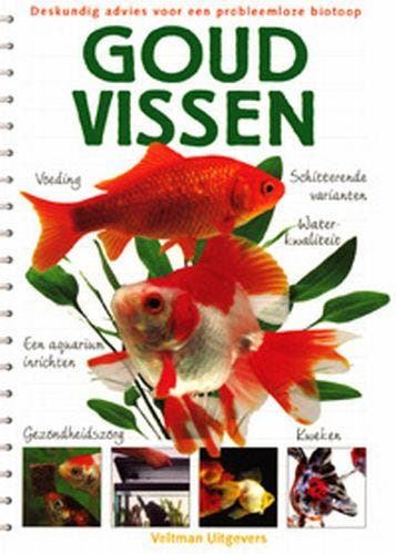 Goudvissen 9789059203679 Bernice Brewster, Verzenden, Bernice Brewster
