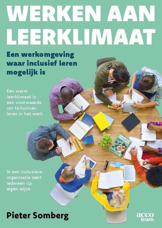 Werken aan leerklimaat 9789492398697 Pieter Somberg, Livres, Livres scolaires, Envoi