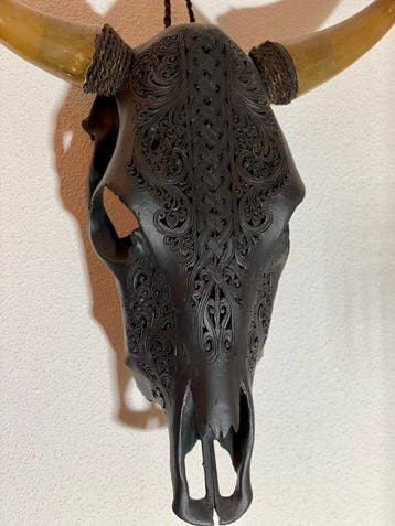 stier Schedel - Bull gegraveerd - 60 cm - 54 cm - 16 cm