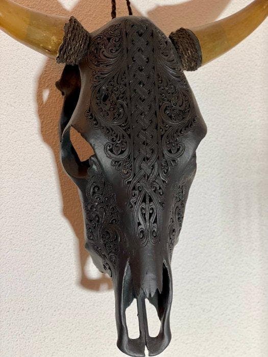 stier Schedel - Bull gegraveerd - 60 cm - 54 cm - 16 cm, Antiek en Kunst, Curiosa en Brocante