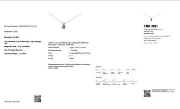 Zonder minimumprijs - Ketting met hanger - 14 karaat Witgoud