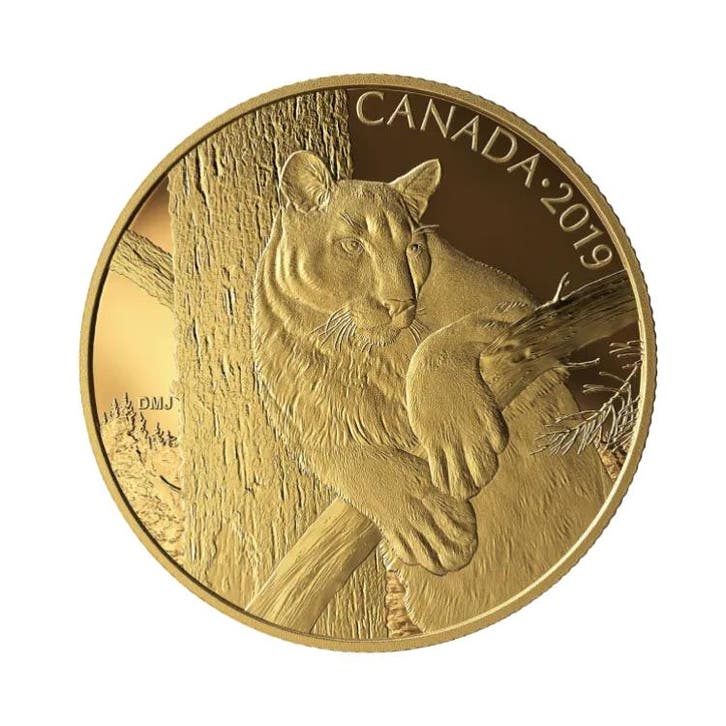 35 gram Gouden Proof Munt Canadian Cougar 2019, Timbres & Monnaies, Métaux nobles & Lingots