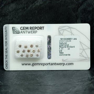 13 pcs Diamant (Couleur naturelle) - 1.11 ct - Rond - Fancy, Nieuw