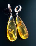Vintage natuurlijke Baltische amber oorbellen - zilver -