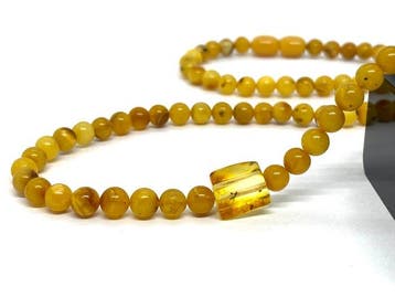 Natuurlijke Baltische Amber Ketting met een insect -