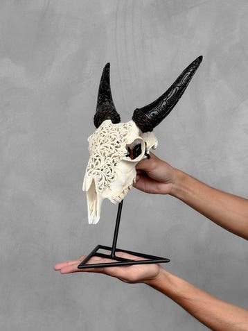 Sans prix de réserve - Crâne de chèvre blanc sculpté à la