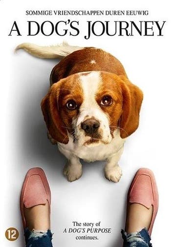 Dogs Journey, A op DVD, Verzenden