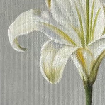 Charlie - solitude, Antiek en Kunst, Kunst | Schilderijen | Modern
