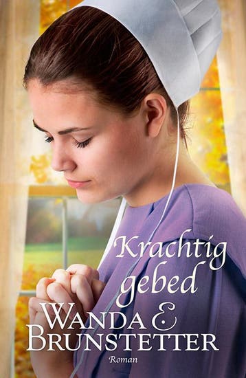 Krachtig gebed / De Indiana Amish / 2 9789088653353, Verzenden, Wanda E. Brunstetter