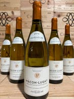 2018 Domaine Patriarche Père et fils - Mâcon-Lugny - 6, Nieuw