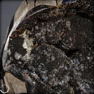 Septarien Calciet Geode Ei – Monumentaal Luxeobject uit