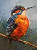 Tomasz Bednarski (1965) - Kingfisher