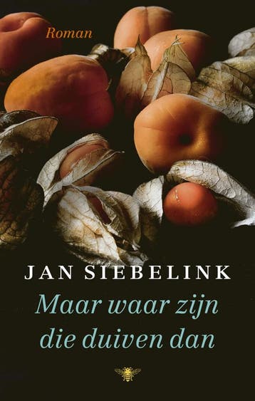 Maar waar zijn die duiven dan (9789403182902, Jan Siebelink), Verzenden