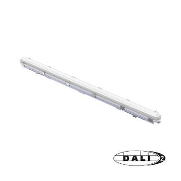 LED BATTEN | CLIFF | DALI | 35-60W | 150CM | 5-ADERIG | CCT, Maison & Meubles, Lampes | Lampes en vrac, Verzenden