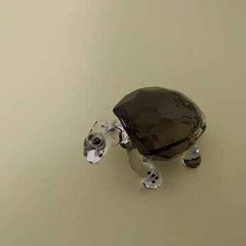 Swarovski - Beeldje - SCS - Galapagos Turtle - Event Piece