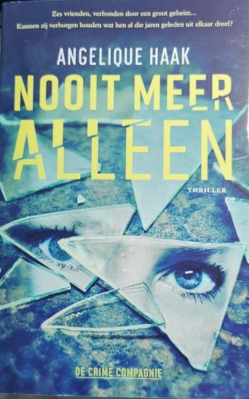 Nooit meer alleen 9789461096951 Angelique Haak, Verzenden, Angelique Haak