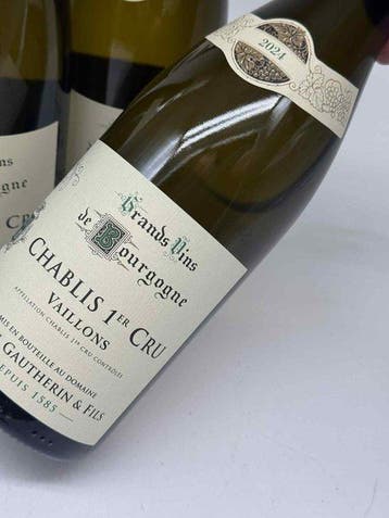 2024 Raoul Gautherin & Fils Vaillons - Chablis 1er Cru - 4, Nieuw