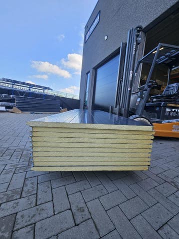 Wandpanelen, Gevelpanelen, sandwichplaten, 40 mm, Verzenden, Nieuw