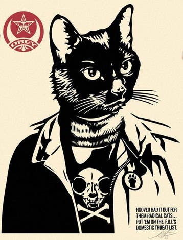 Shepard Fairey (OBEY) (1970) - RADICAL CAT