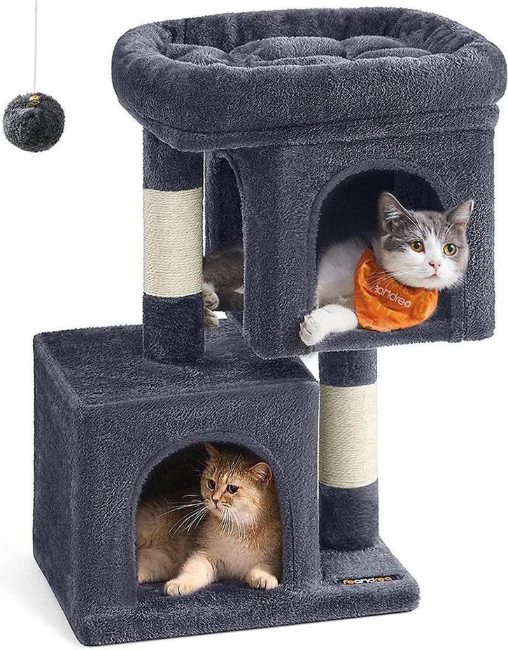 Feandrea - kattenkrabpaal - klimboom - hoogte 67 cm -, Animaux & Accessoires, Meubles griffoirs pour chats, Envoi