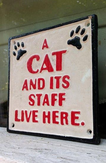 « Un chat et son personnel vivent ici » – panneau