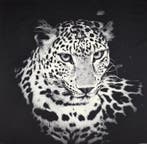 ARAZZO Predator Noir in Gobelin-weefsel - 140x140 cm -