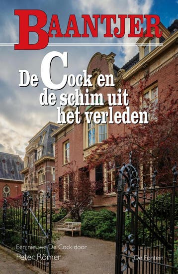 De Cock en de schim uit het verleden / Baantjer / 88, Livres, Verzenden, Baantjer