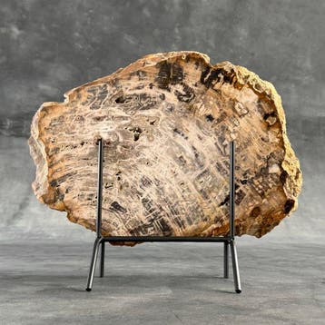C-Stunning Grote plak versteend hout op een op maat gemaakte