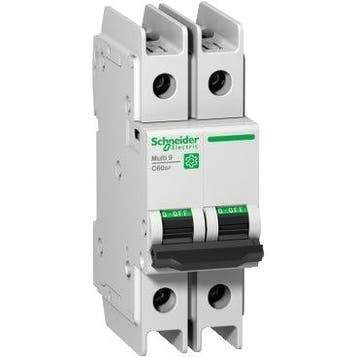 Disjoncteur Schneider Electric - M9F42210, Verzenden, Nieuw